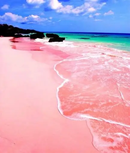 Pantai Pink Lombok