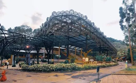 The Rainforest Table Bogor resto viral 2026