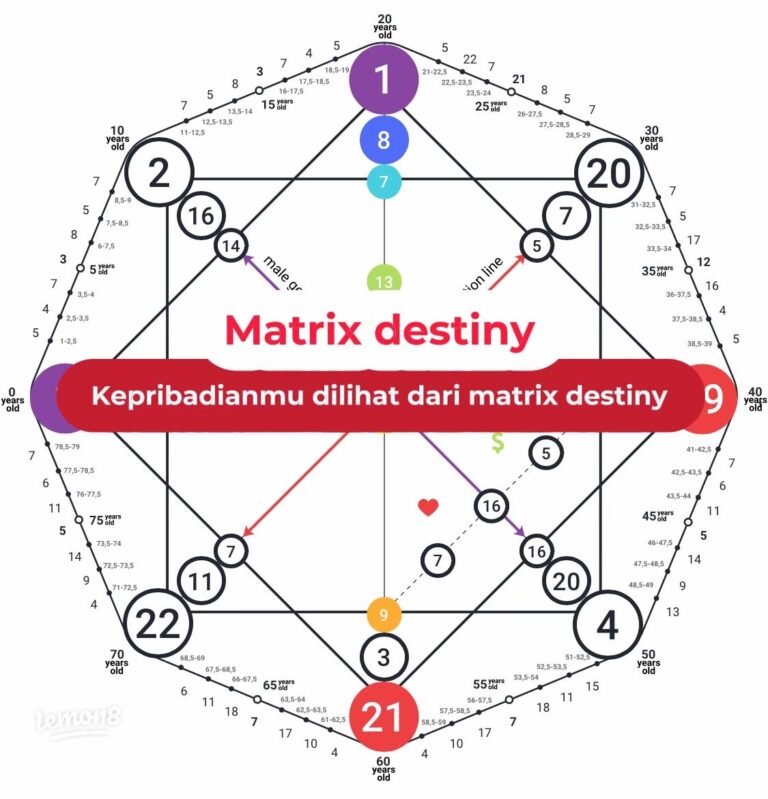 matrix destiny