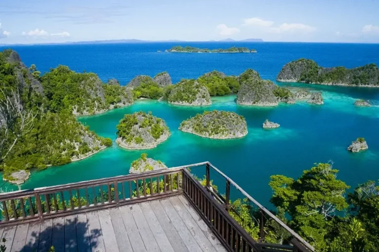 Raja Ampat tambang nikel